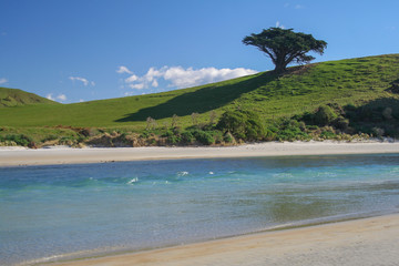 New Zeland Landscape