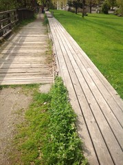 wooden path