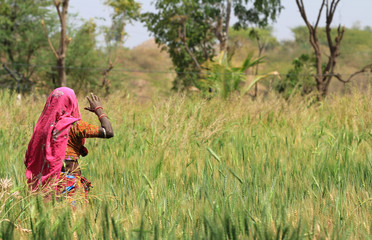 Woman Farming