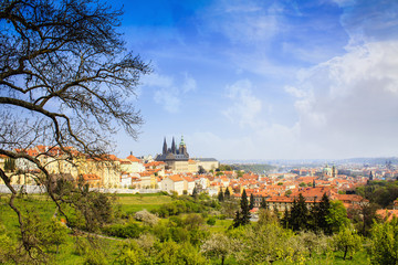 Fototapeta premium Spring Prague Castle Photo - The Cathedral of St Vitus