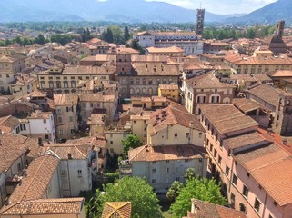 Fototapeta na wymiar Historyczne centrum Lucca w Toskanii