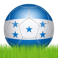 Honduran soccer ball on the lawn