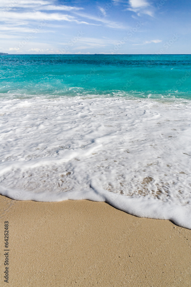 Wall mural foam on the beach