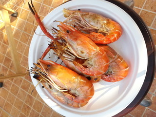 Grilled prawns on white plate