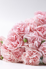 Carnations