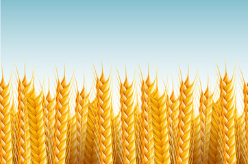 Seamless Field Background