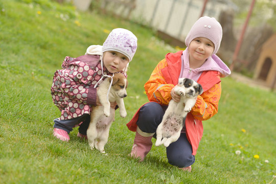 deux soers et chiots