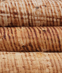 Entrindete Baumstämme