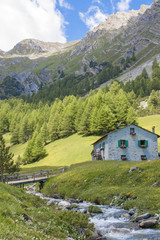 Fototapeta na wymiar Paesaggio di montagna