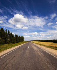 Fototapeta premium summer road - the asphalted road to summertime of year. along the road trees grow