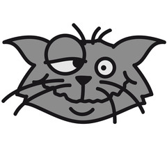 Lustige Dumme Verrückte Katze