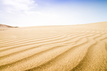 Fototapeta premium Sand dunes in sunny day.