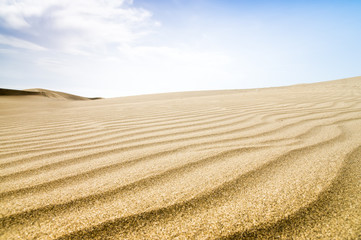 Fototapeta premium Sand dunes in sunny day.