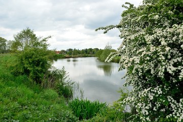 Rural scene with the Leye river in Astene, Flanders, Belgium