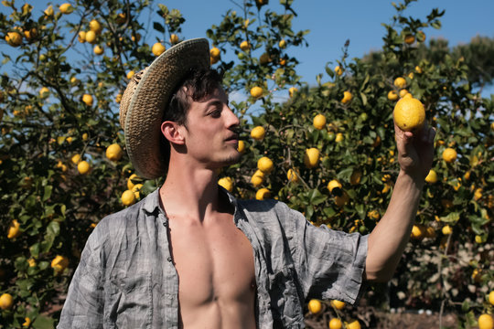 Satisfied Farmer Watch A Lemon