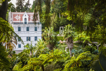 Fototapeta na wymiar Monte Tropical Gardens, Funchal