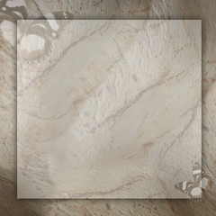 marble background with butterfly