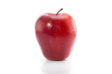 Apple, red chief standing