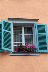 the window with shutters and flower pots