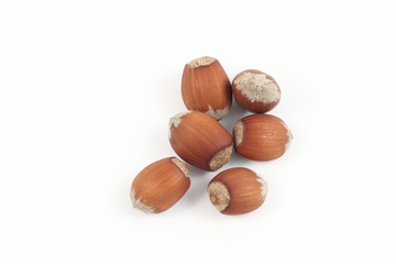 hazelnuts