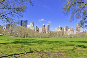 Fototapeta na wymiar Manhattan skyline from Central Park, New York City