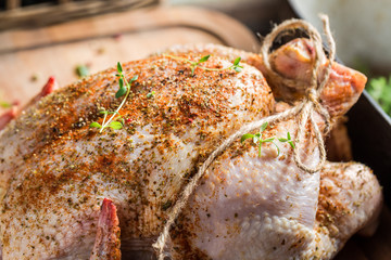Closeup of raw chicken with herbs