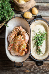Preparing chicken with spices