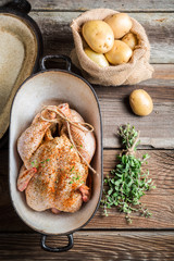 Preparing chicken for cooking with spices