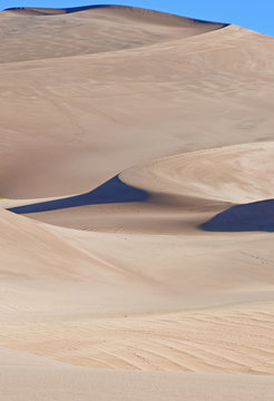 Sand Dunes and Shadows