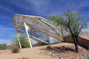 Rattlesnake Bridge in Tucson Arizona