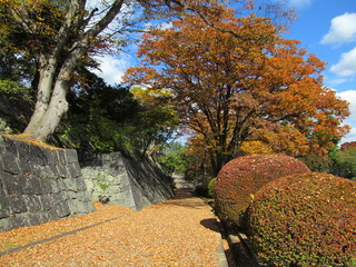 Obraz premium 紅葉の盛岡城跡