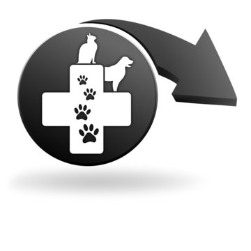 vétérinaire sur symbole noir