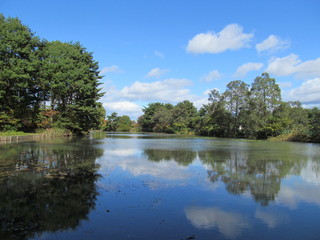 池と雲