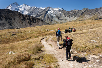 walkers in Swiss Alps