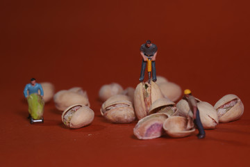 Construction Workers in Conceptual Food Imagery With Pistachio N - Powered by Adobe