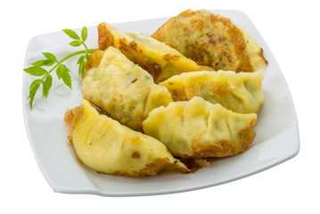 Japan dumplings - gyoza