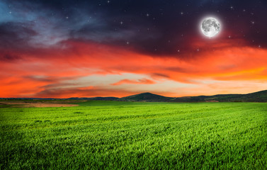 Fototapety na wymiar - Fototapeta24.pl