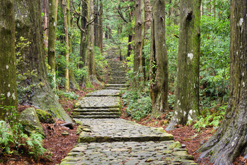 Fototapeta premium Kumano Kodo, Sacred Trail in Wakayama, Japan