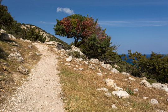 Sentier d'Aphrodite de Chypre