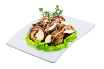 Escargot