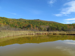 秋の赤沼