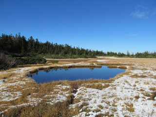 池と残雪の高原