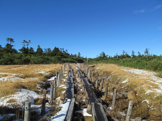 Fototapeta premium 黒谷地の木道