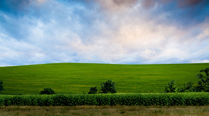 Fototapeta premium night background