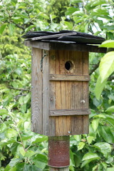Bird house