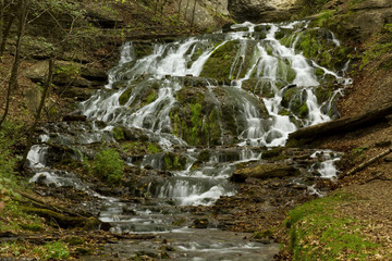 Fototapeta premium Dunnings Springs Waterfall