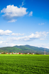 Fototapety na wymiar - Fototapeta24.pl