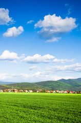 Fototapety na wymiar - Fototapeta24.pl