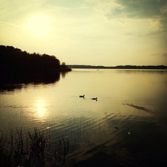 abend am see