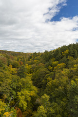 Fototapeta na wymiar Fall Color Michigan Hills